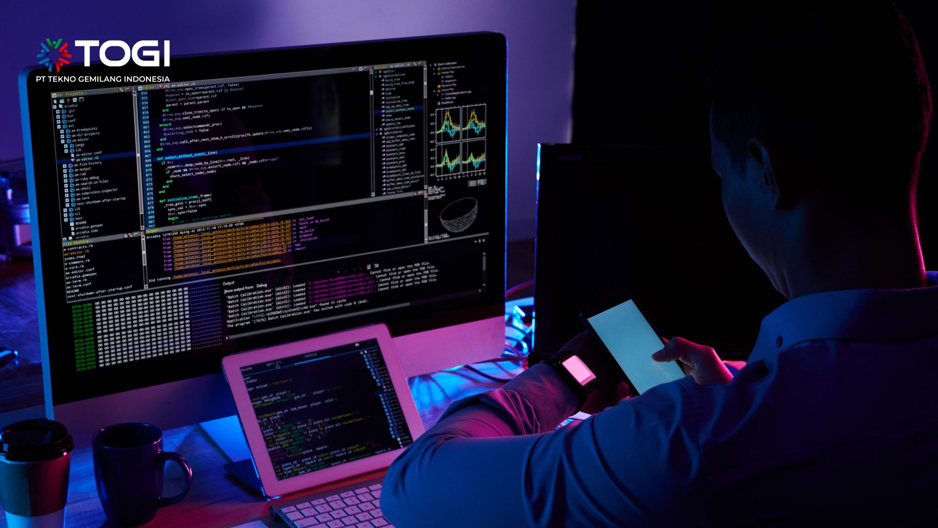 Programmer Palsu