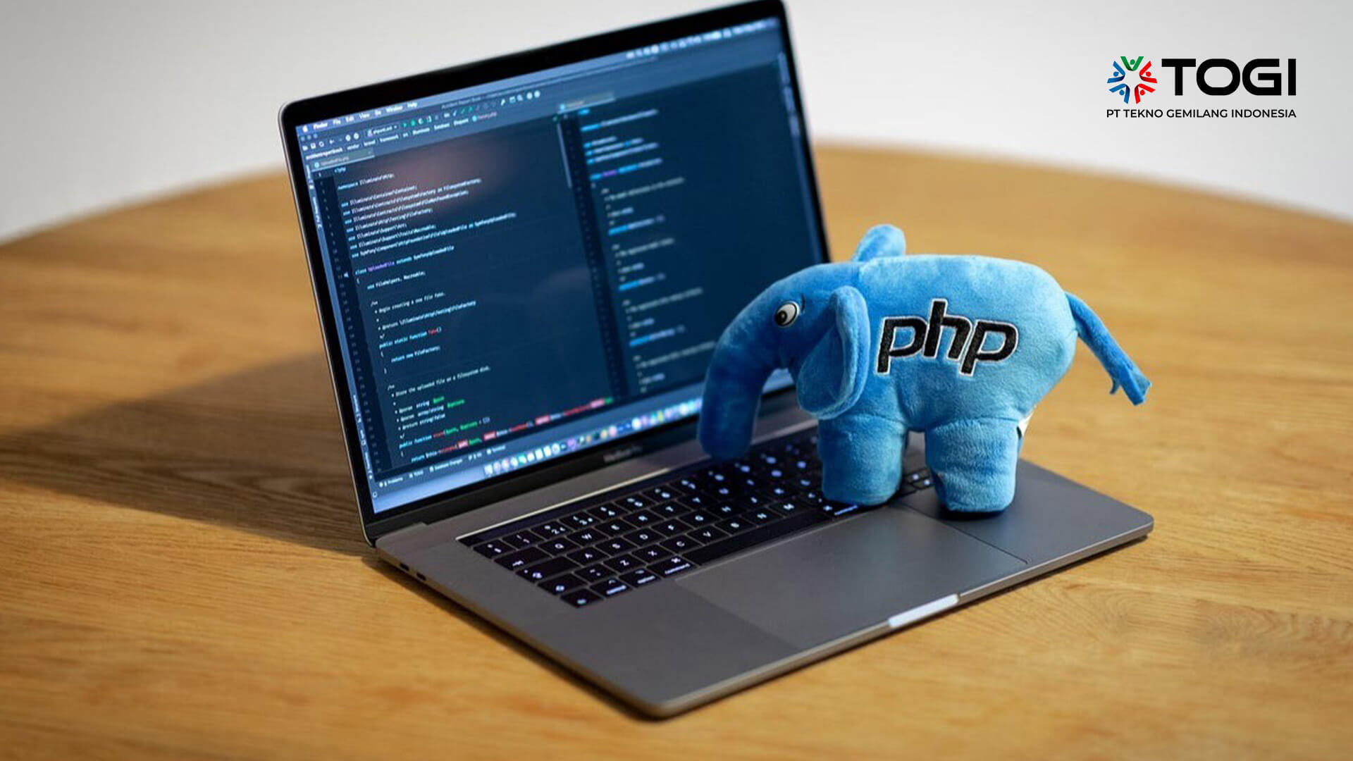 Programmer PHP