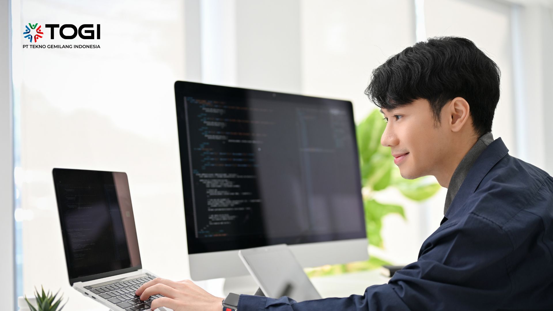 IT Programmer