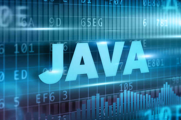 Java Programmer