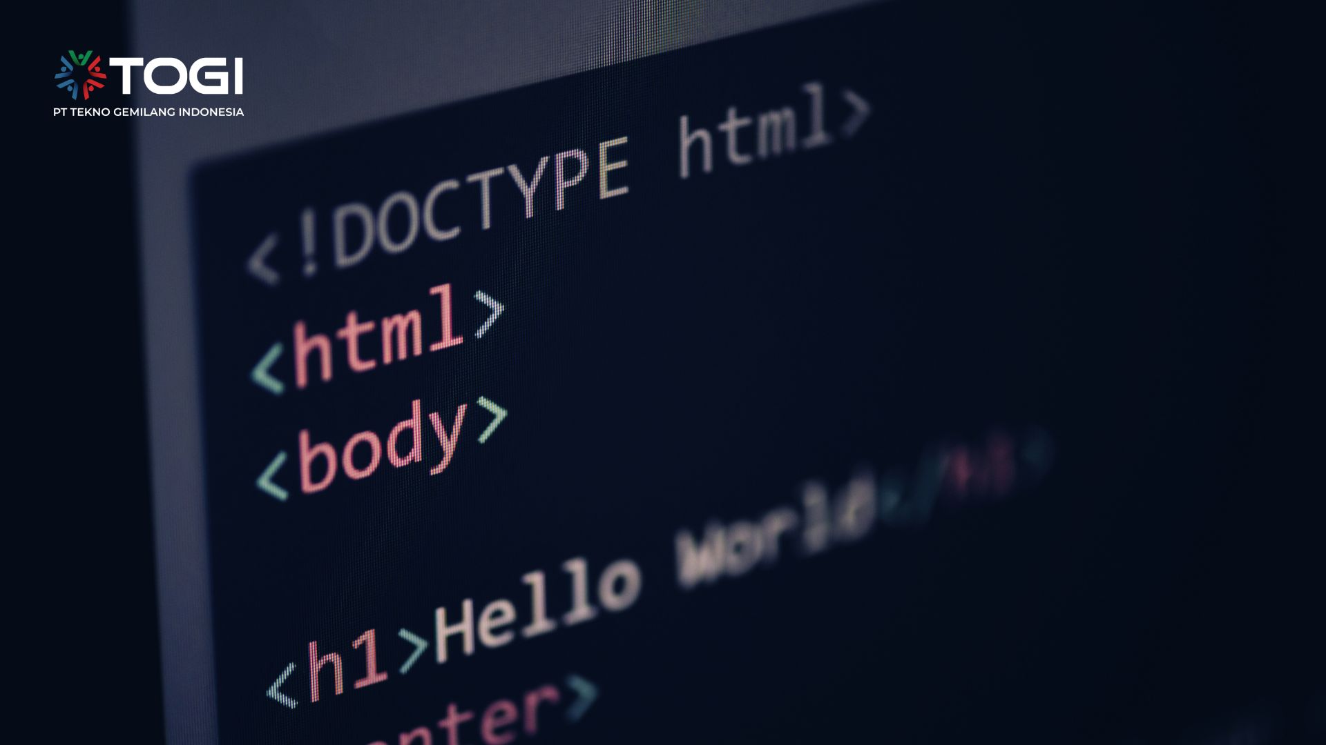 Web Developer
