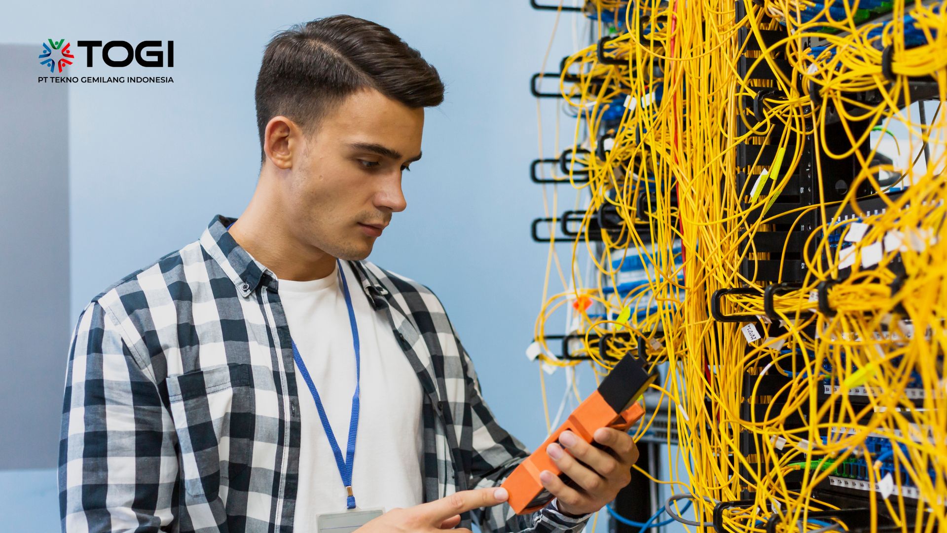 Network Architect