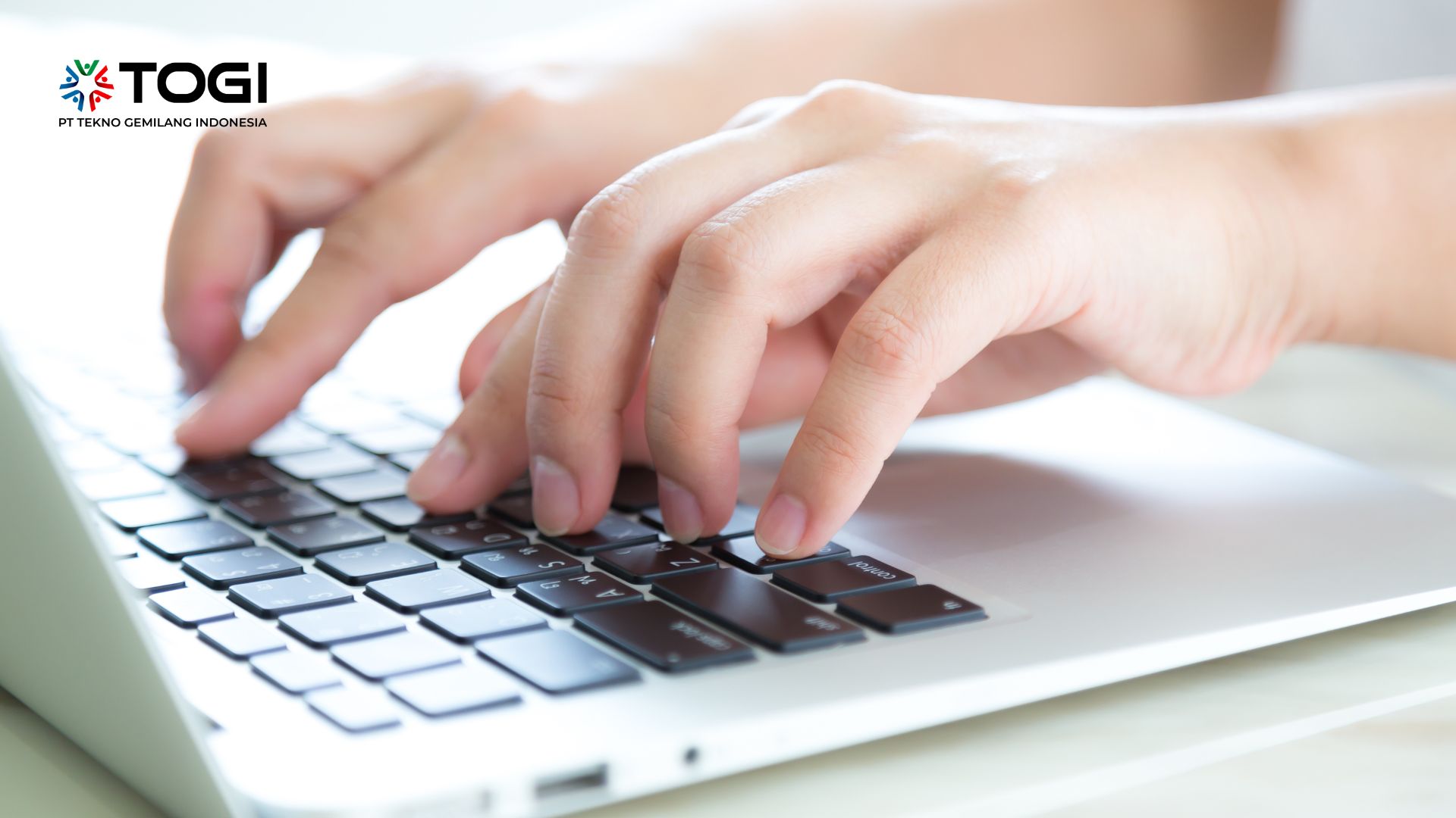 portofolio technical writer