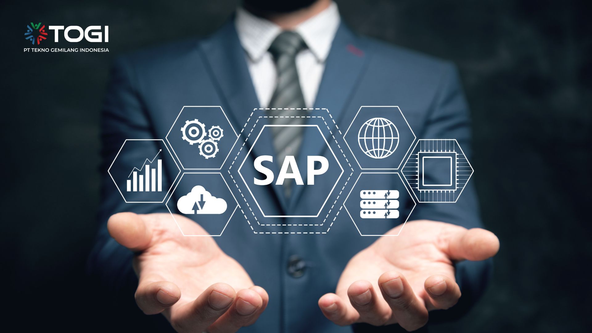SAp Consultant