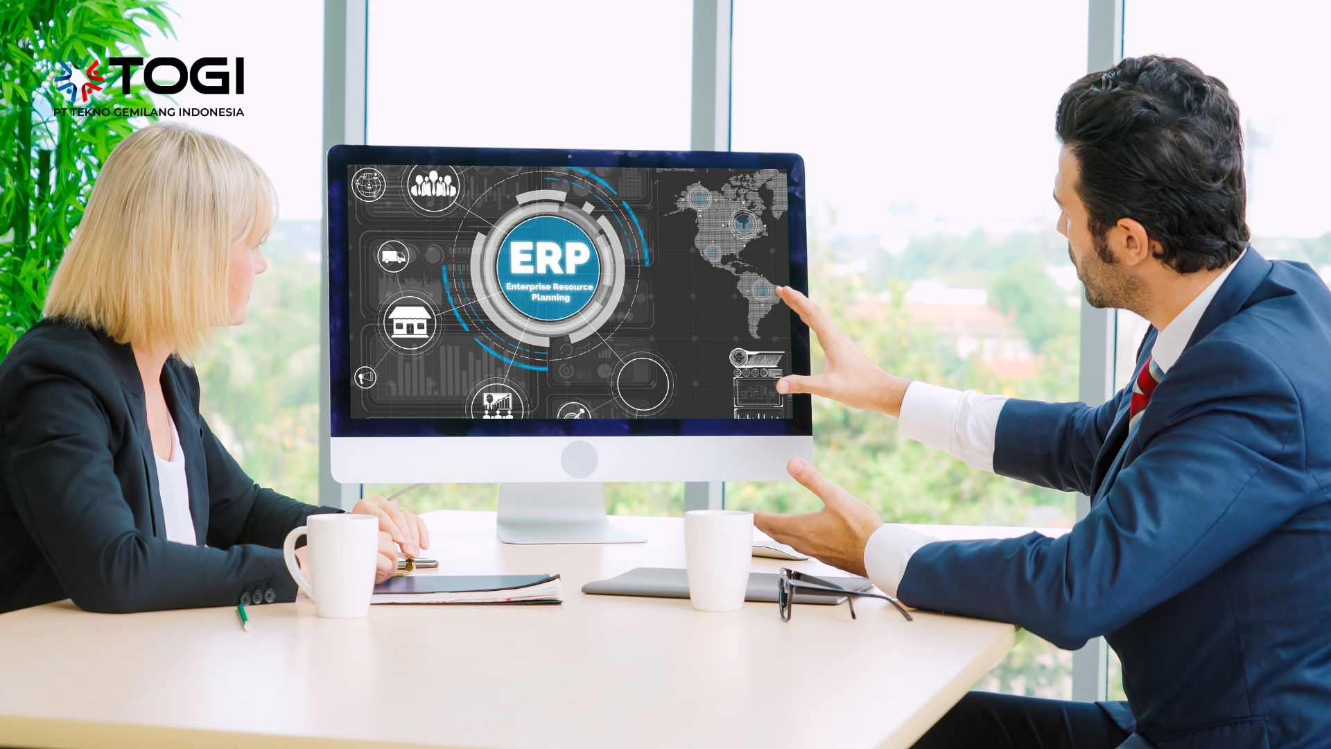 ERP Consultant
