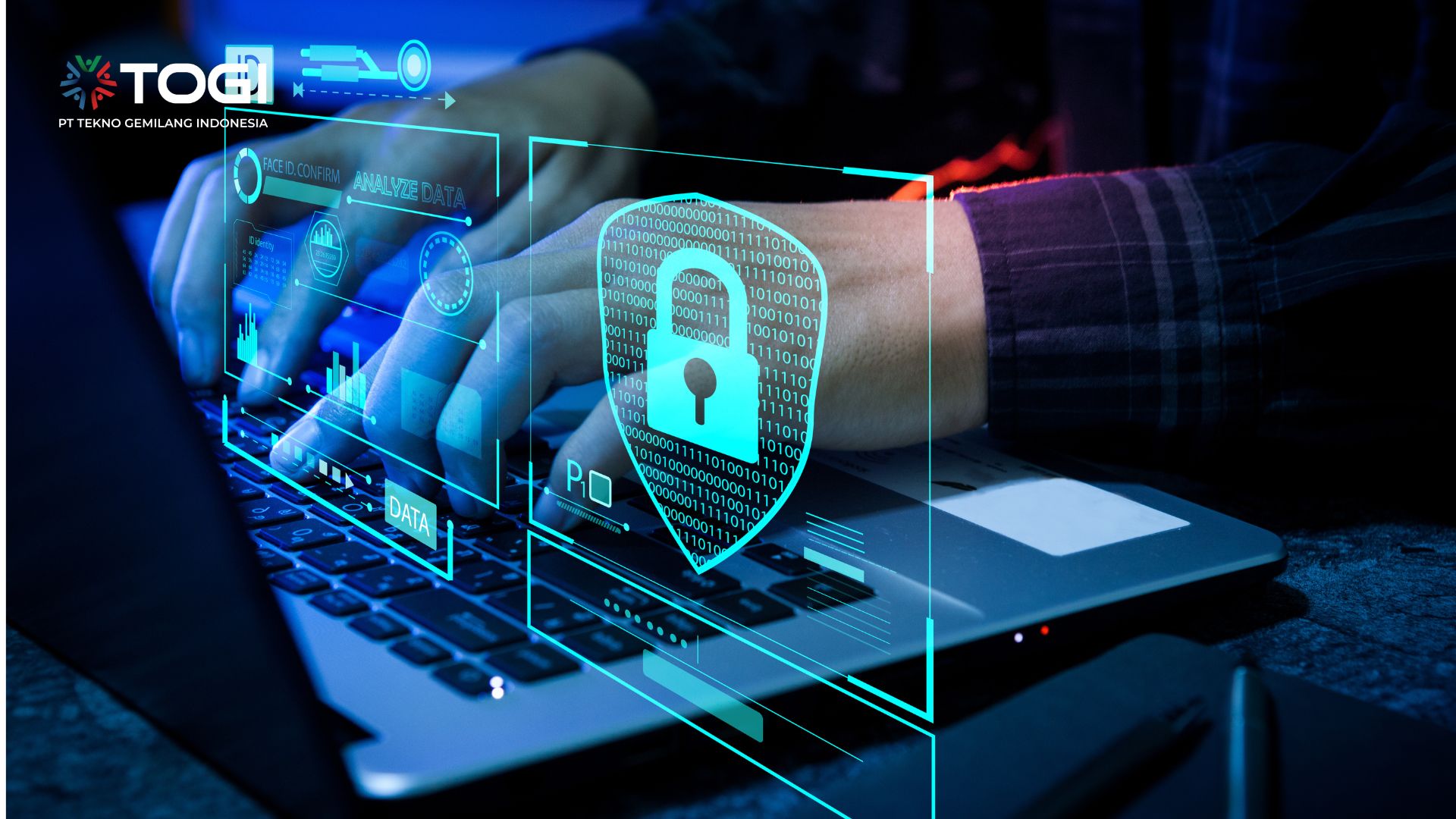 Cyber Security Consultant