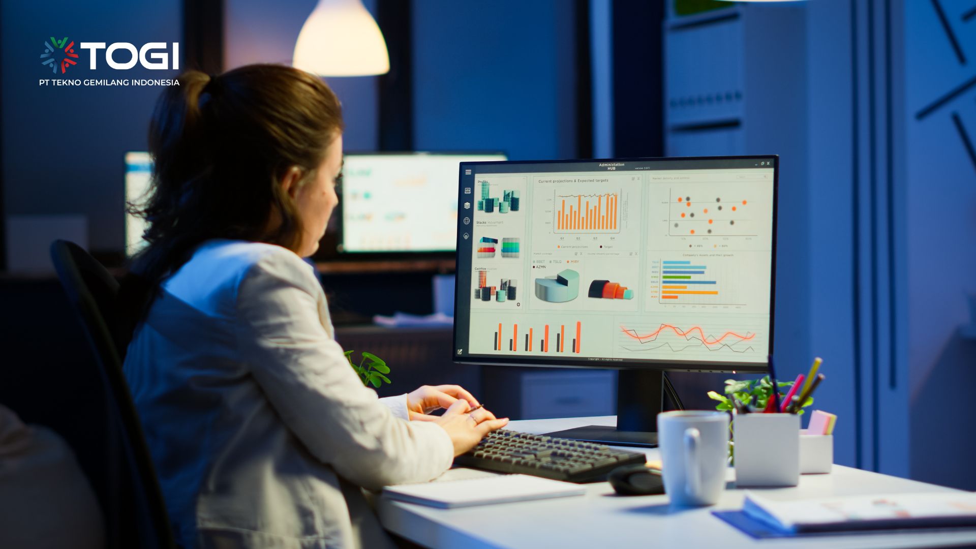 data visualization adalah