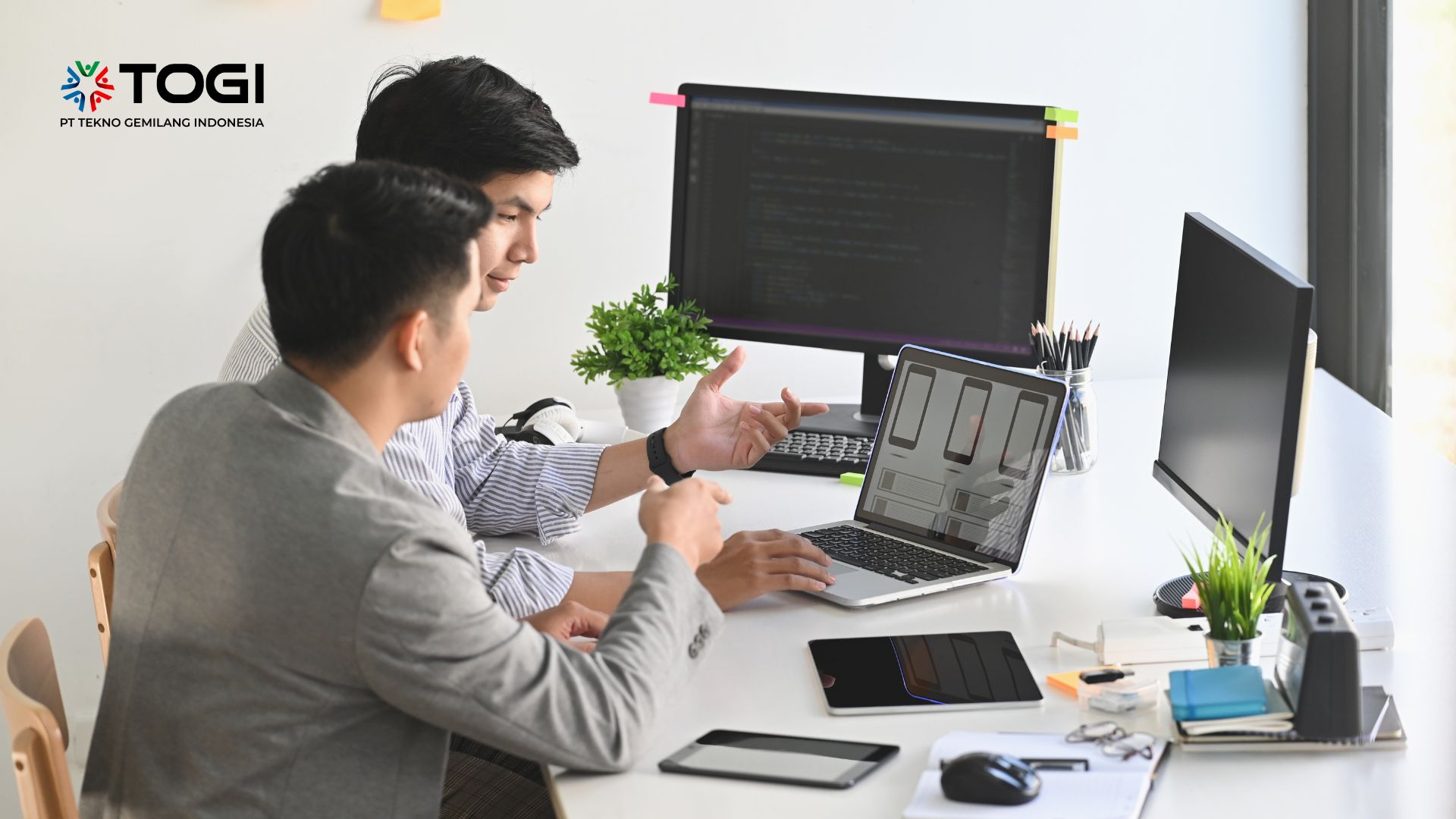 Software House