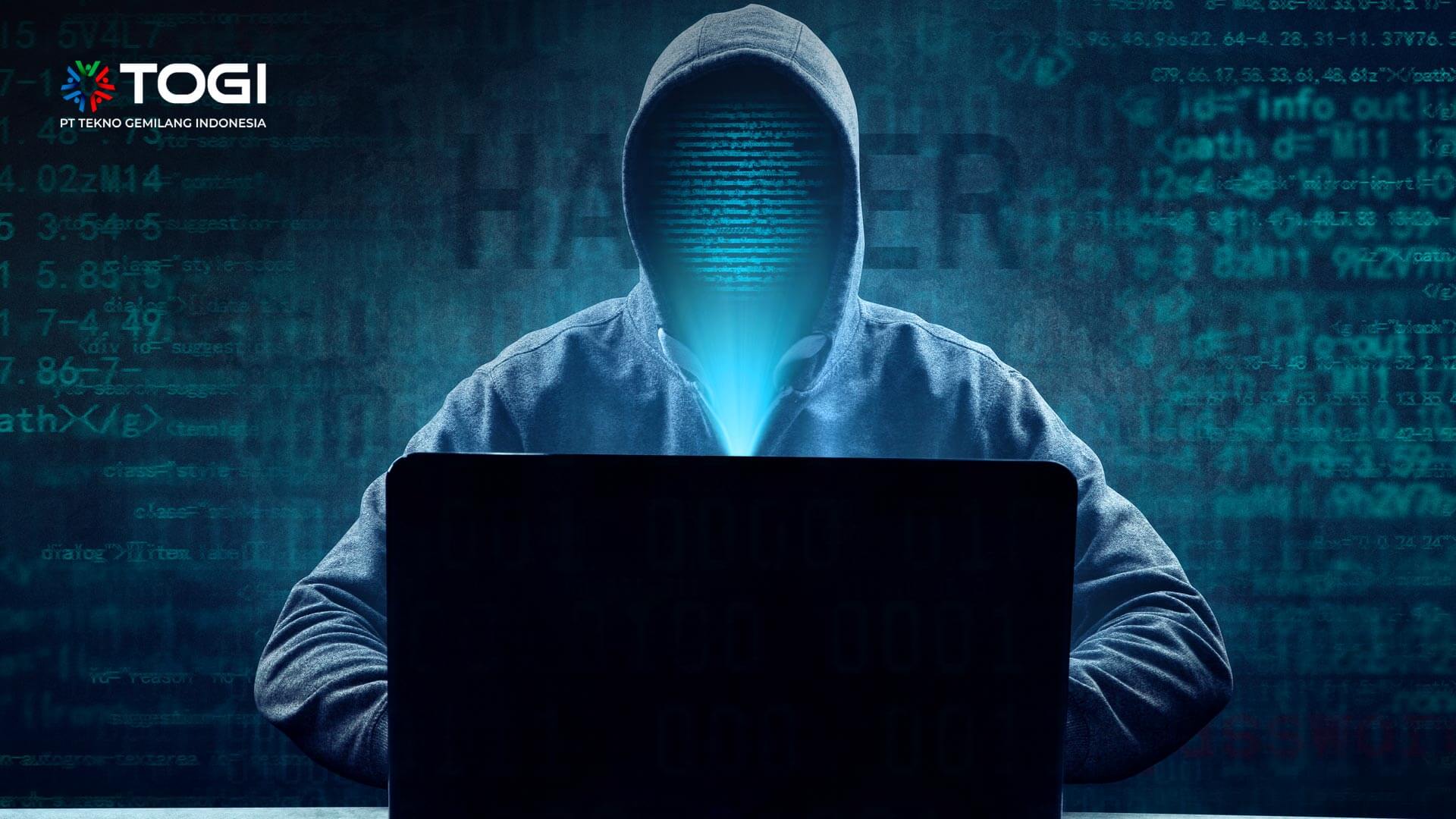 Cara Menjadi Hacker Profesional