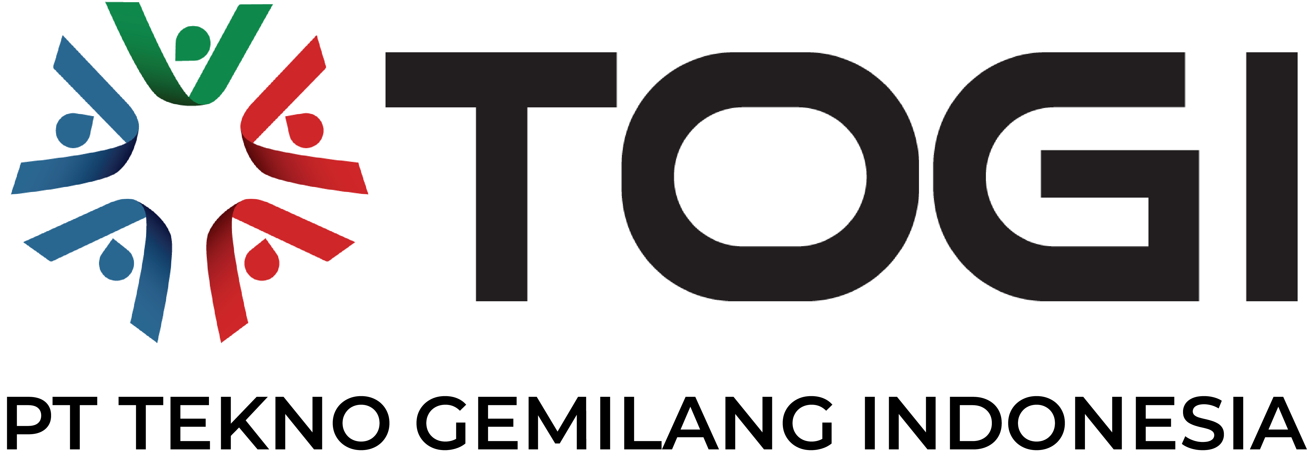 TOGI LOGO HD